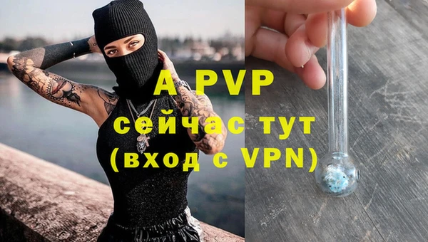 ГАЛЛЮЦИНОГЕННЫЕ ГРИБЫ Нея