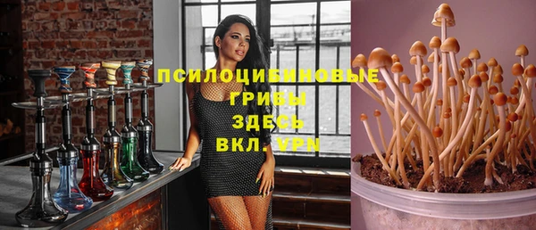 ГАЛЛЮЦИНОГЕННЫЕ ГРИБЫ Надым