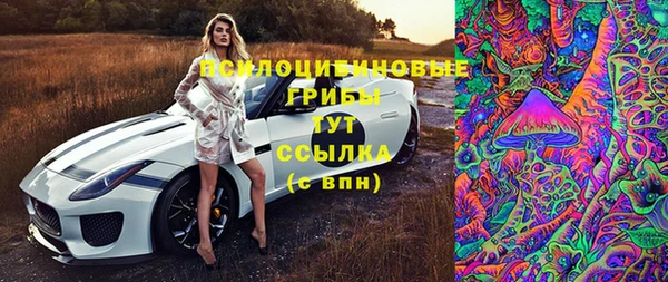 ГАЛЛЮЦИНОГЕННЫЕ ГРИБЫ Нея