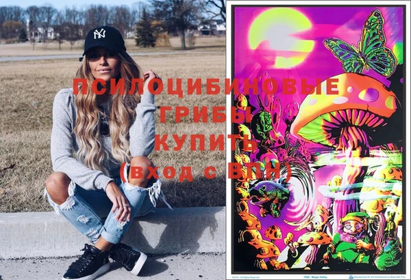 ешки Нефтегорск
