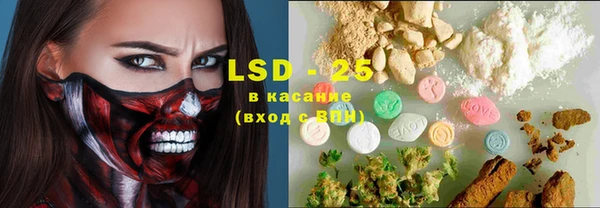 ГАЛЛЮЦИНОГЕННЫЕ ГРИБЫ Надым