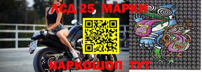 индика Гусев