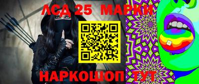 индика Гусев
