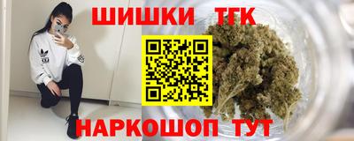 индика Гусев