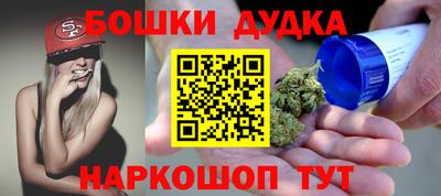 индика Гусев