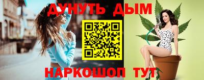 индика Гусев
