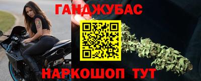 индика Гусев