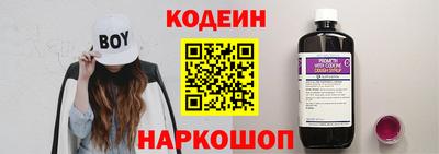 индика Гусев